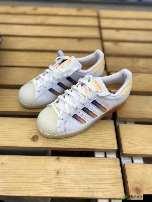 三叶草 GW6797：探索未知的神奇力量