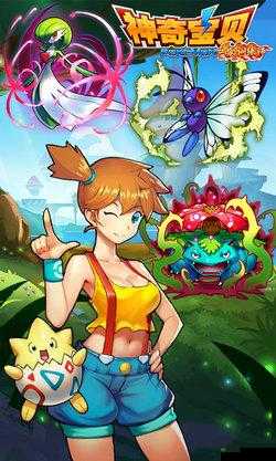 口袋训练师：领略最强版图的奥秘之旅