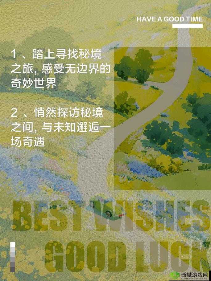 ZW 时看的文案:探索未知的奇妙世界