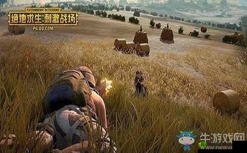 国外 B 站刺激战场直播：热血战斗，激情无限