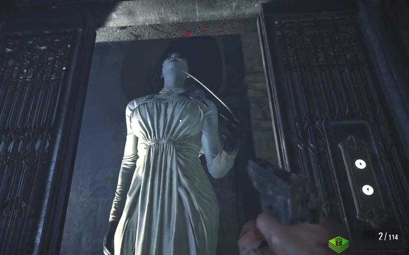 八尺夫人意大利 满天星:妖艳与神秘的完美结合