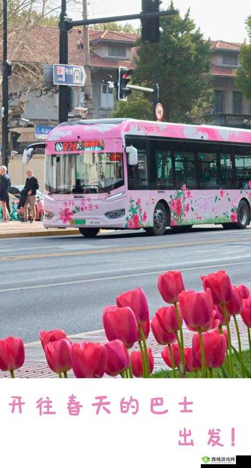 大巴车让我难忘的美好时光:那些温暖瞬间