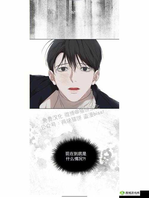 啊哈有人来了啊哈风调禹顺之精彩瞬间