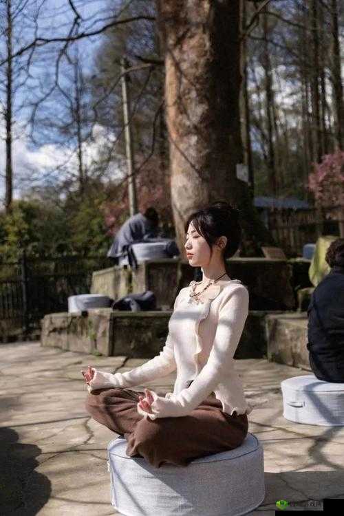 ：王氏寺庙快活几天：一场独特的修行之旅