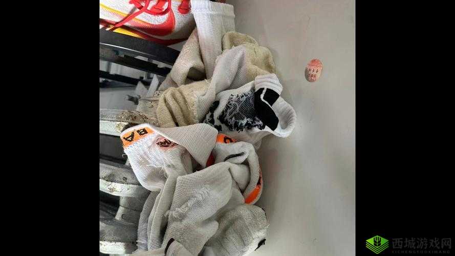 中国体育生宿舍 GARY 飞机相关内容探讨