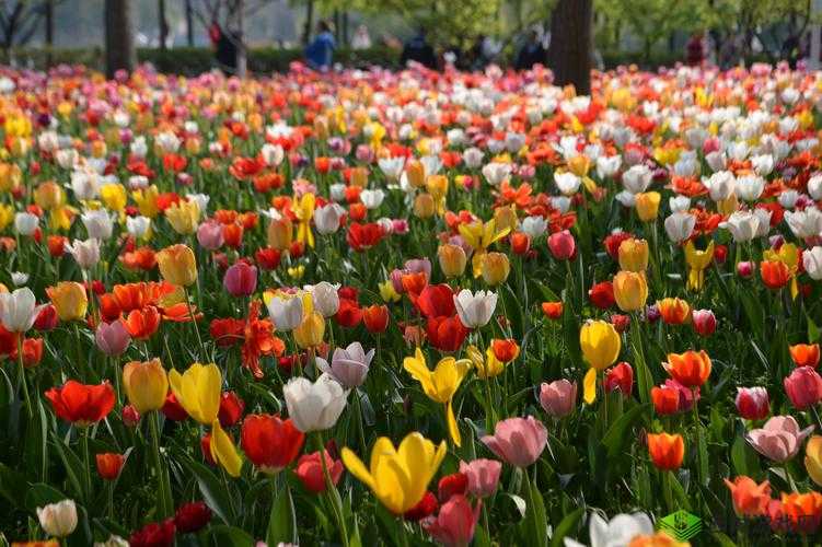 快看短视频：精彩内容等你来发现