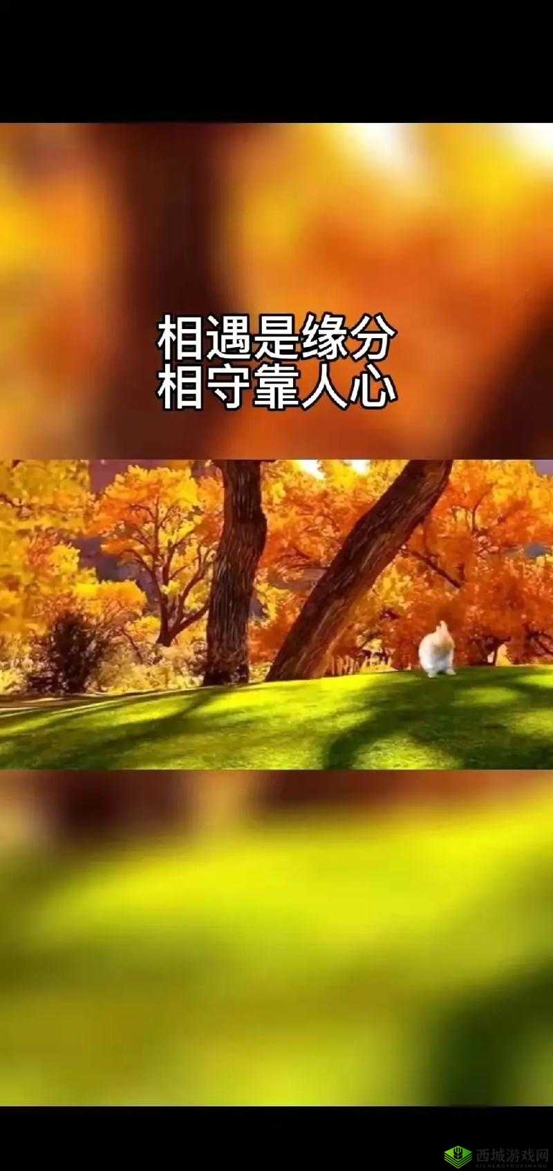 我们不合适 1v1 军婚:缘分散尽难相守