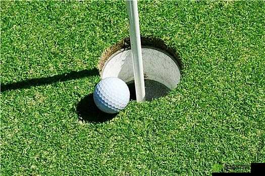 大家的高尔夫球洞：我的奇异经历