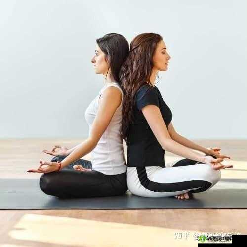 坐卧式双人运动：健康活力新选择