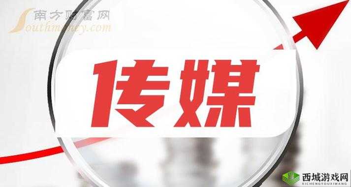 麻花传媒 MV 与其他传媒公司对比