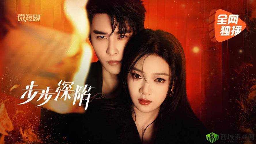 国外 B 站推广网站：开启全新视频之旅