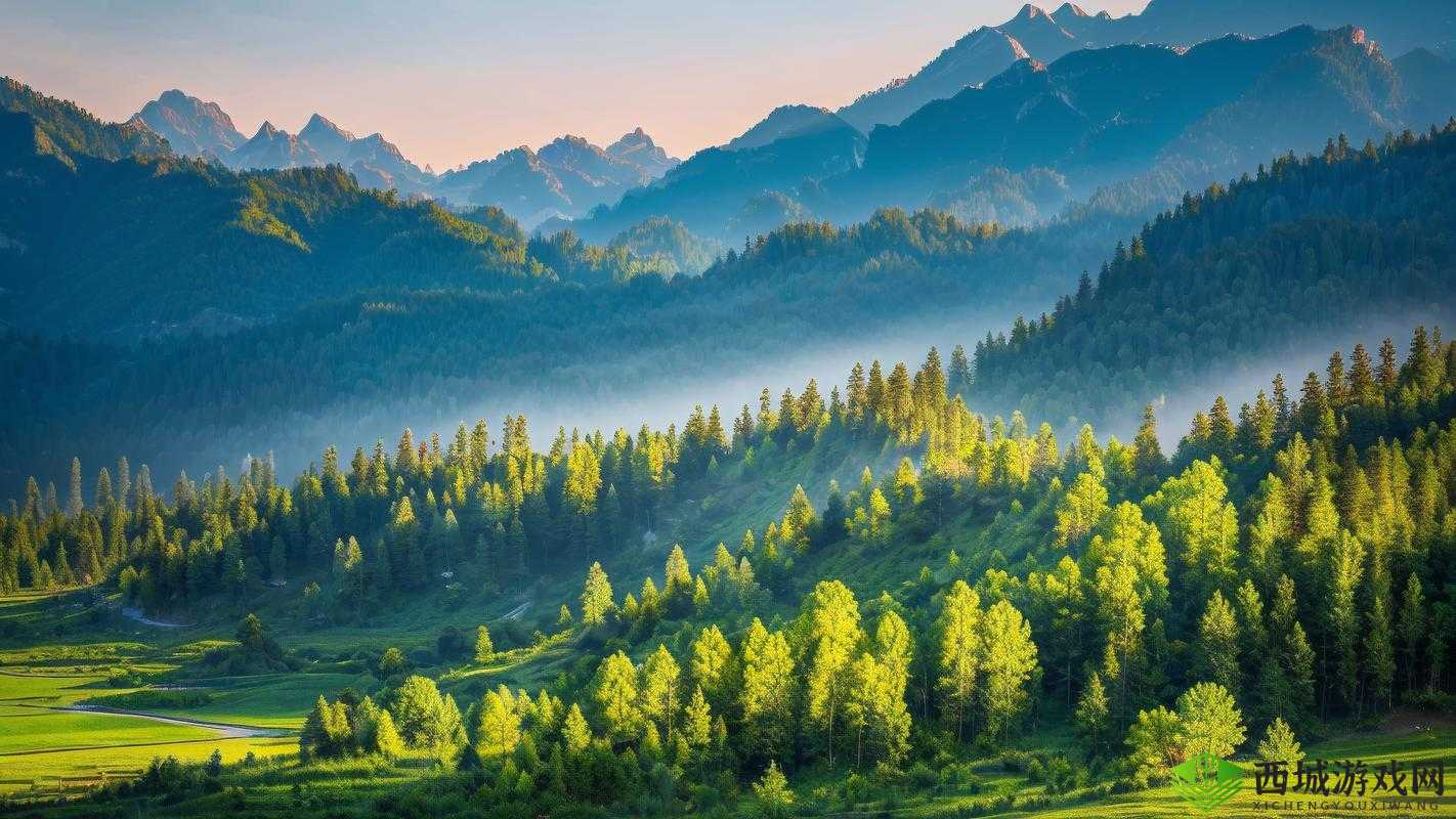 双手在你茂密森林中游走：探索自然之美