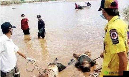 缅甸北部恐怖血腥网站www软件：内容揭秘