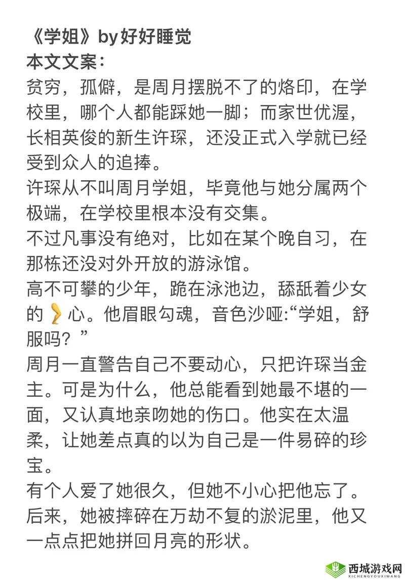 首辅每天要不够po一枝独秀之探秘