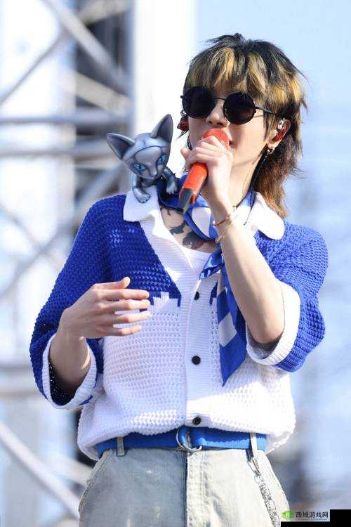 日本最强rapper 潮水网站：引领潮流的音乐之地