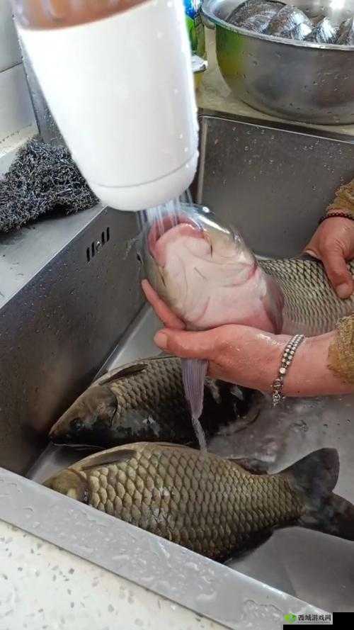 女人绝技：鲤鱼喝水六个动作全展示