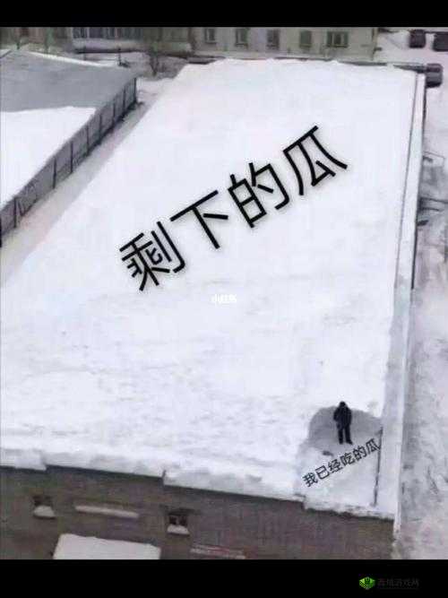 51吃瓜北京朝阳群众热心吃瓜：背后的故事