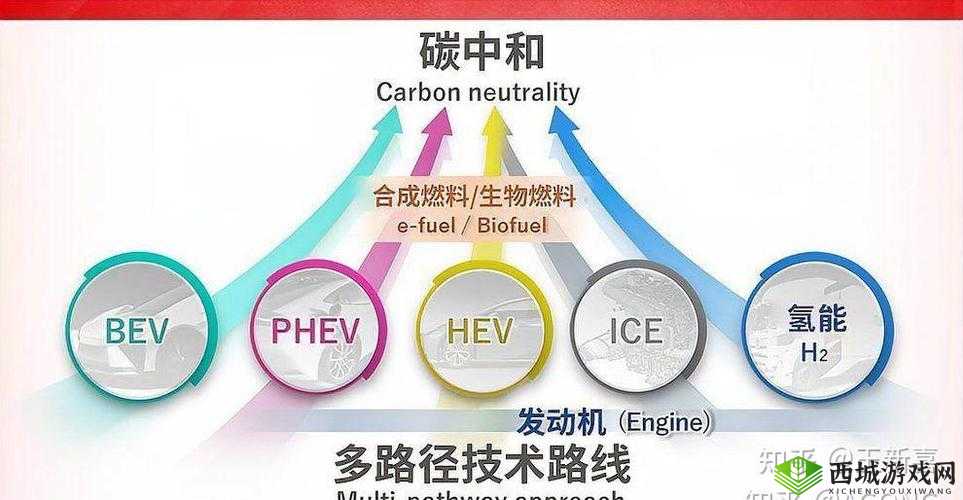 日本三线与欧洲品牌对比:文化、设计、品质大不同