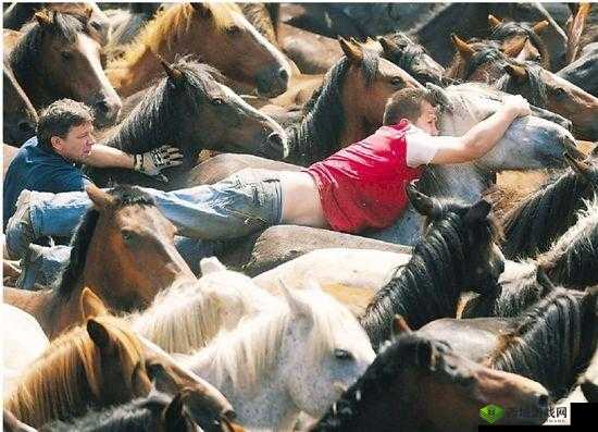 激情碰撞：人马大战 CRM