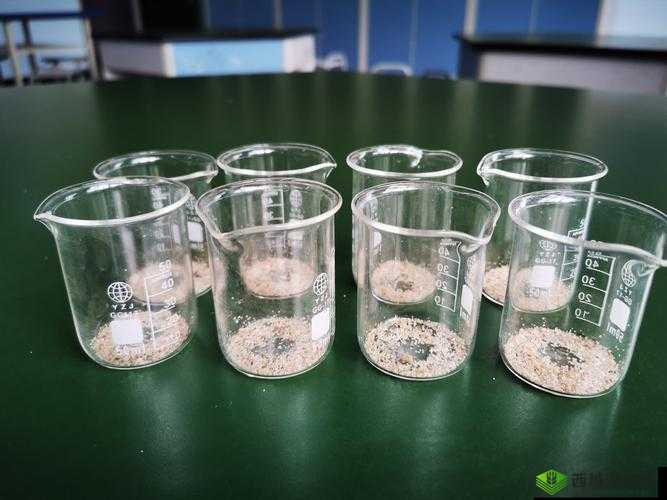 小烧杯炒似你:独特的存在