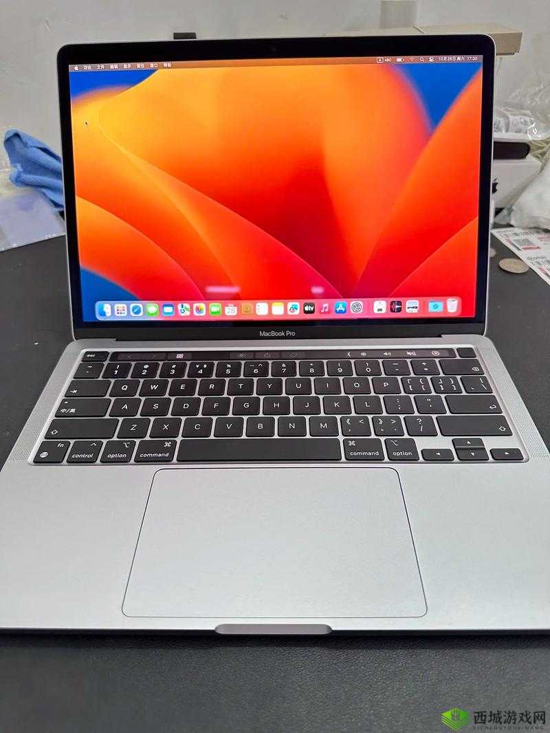 19 部 MACBOOKPRO 日本相关情况