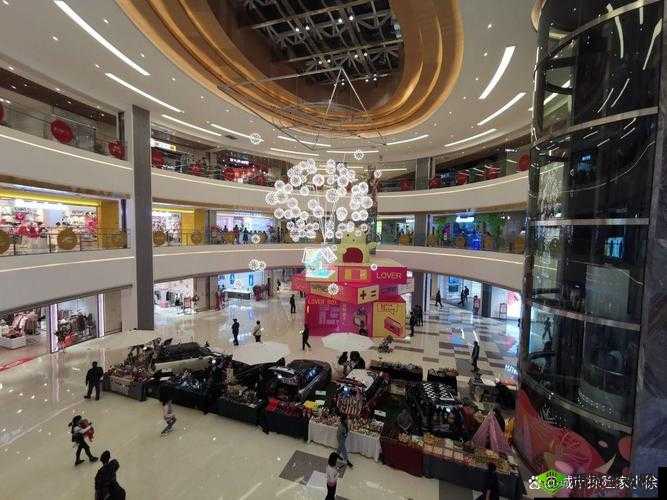 双龙 1v2 养兄：热血战斗与兄弟情谊