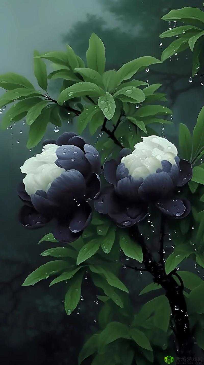 头埋在我花丛里:那是怎样的画面