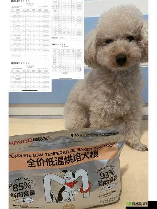 人狗胶配方大全狗狗相关知识及配方汇总