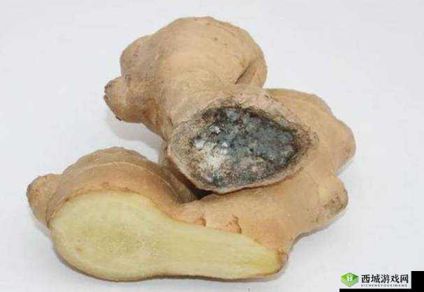 因为不吃姜被罚：连续一年都要夹生姜