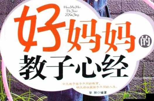好妈妈 9 中字讲话：一位母亲的教子经
