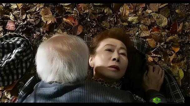 60 岁老人交易森林：价格表惊人