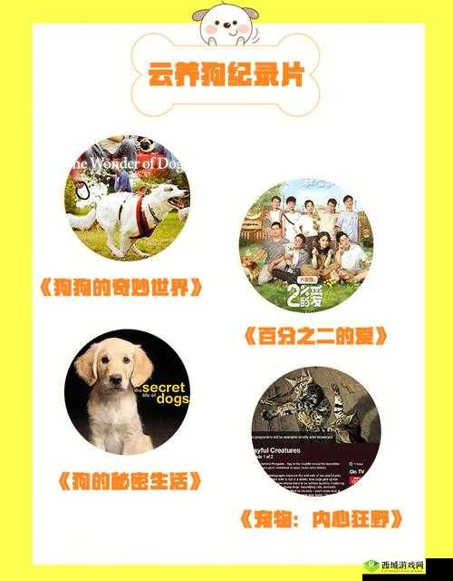 人狗胶配方大全：狗狗的奇妙世界