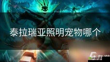 关于泰拉瑞亚：精选最佳照明宠物，览无遗的明亮世界