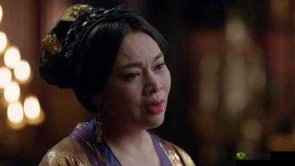 长公主：1V2 皇子的宫廷风云