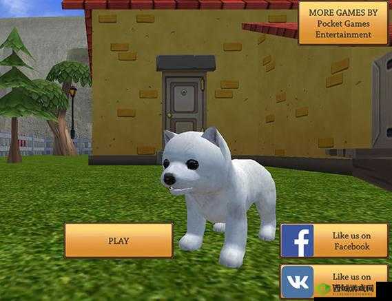 美国 ZOOM 动物：欢迎您!- 发现动物的奇妙世界