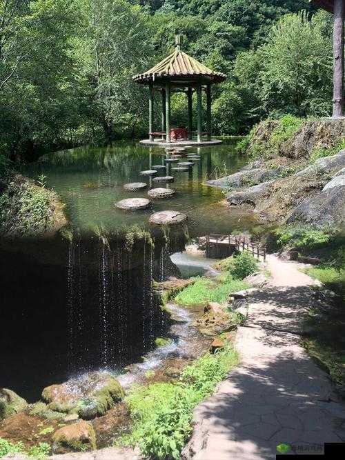 现实中有人玩双龙吗：探秘真实游戏世界