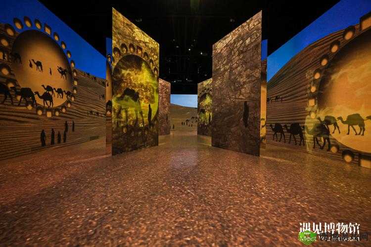 494949 大但人文艺术是免费的吗：探寻艺术的免费之路