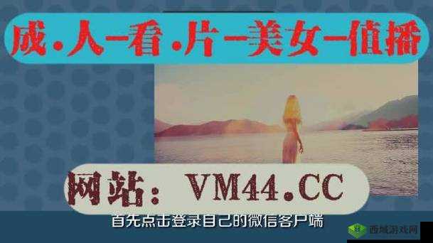 100 种禁用视频软件，成年人慎用