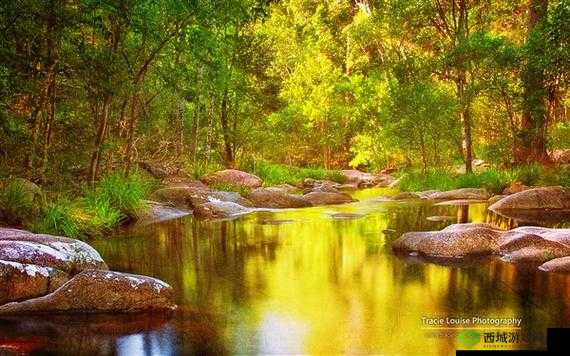 中国 windows 野外：探索自然之美