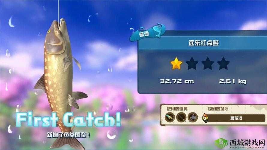 如何购买收获之星游戏：游戏购买全攻略与指南