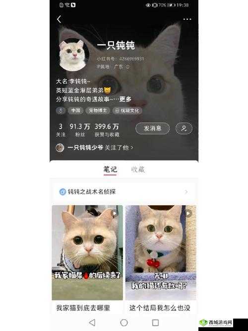 以主播与猫咪为主角的安装配置指南：打造温馨互动直播间故事背景及攻略
