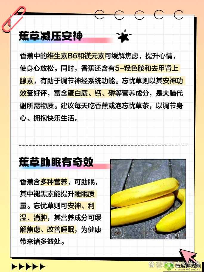 香蕉与忘忧草对焦虑影响之探讨