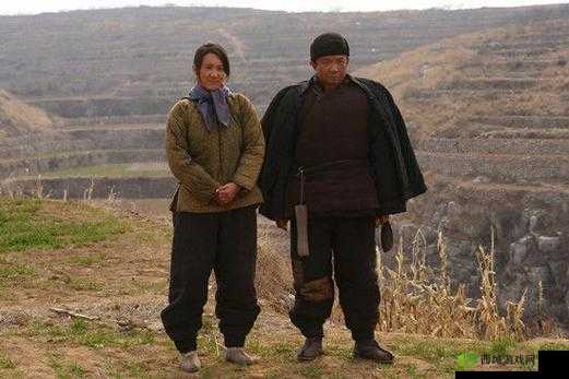 老干棒媳妇:是好事?还是恶性?