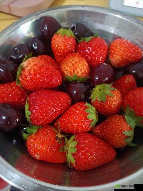 榴莲草莓西瓜茄子黄瓜大聚会