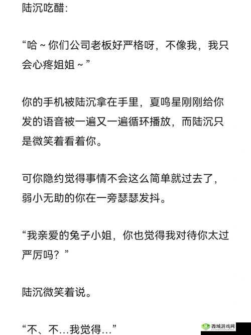 陆沉齐司礼头条文章：浪漫邂逅与深情羁绊