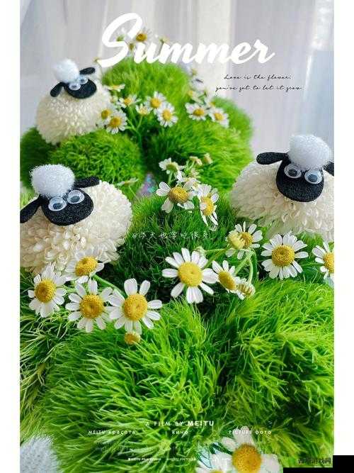 插花弄玉救救小羊:一场奇妙的拯救行动