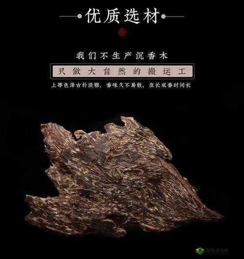 沉香哪里的产地最好：东南亚