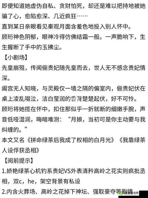 清冷丞相的爆炒日常:丞相的别样日常故事