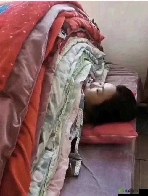 男女一起努力做豆浆不盖被子：这是怎样的经历