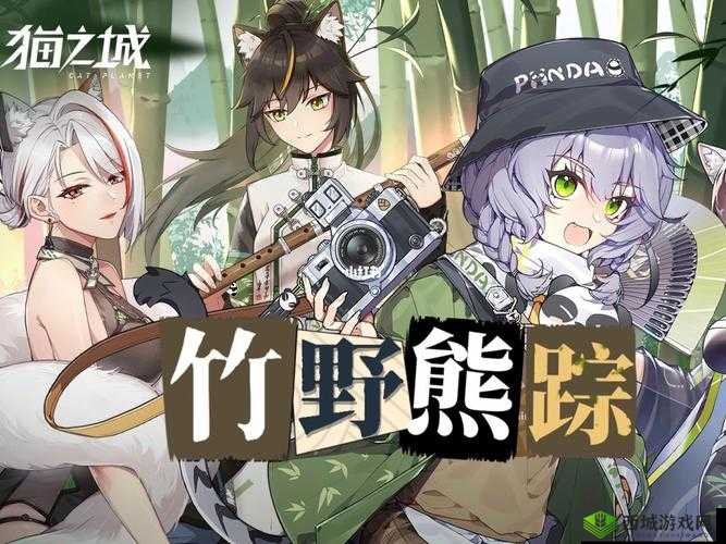 猫之城竹野熊踪活动开启倒计时：神秘熊踪何时现身？